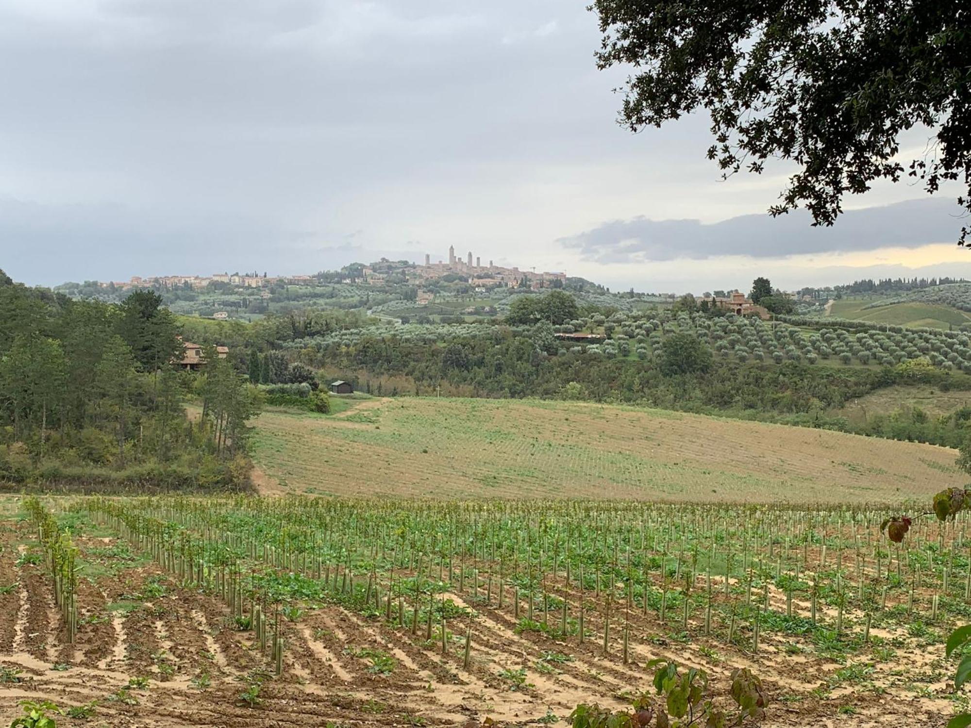Podere Casanuova San Gimignano Exterior foto